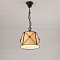 Светильник Citilux CL409111