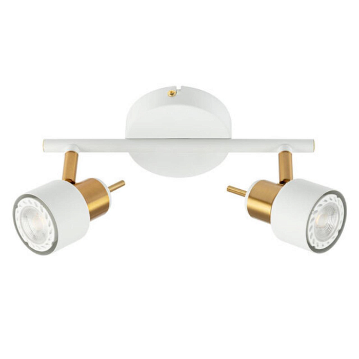 Спот Arte Lamp A1906PL-2WH
