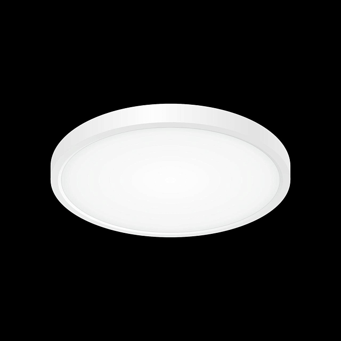 Светильник Citilux CL738240V